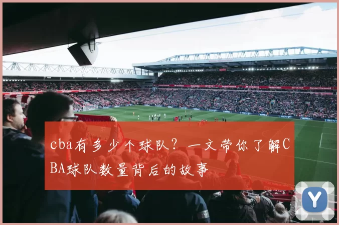 cba有多少个球队？一文带你了解CBA球队数量背后的故事