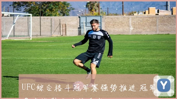 UFC综合格斗冠军赛强势推进 冠军争夺战引发后续看点