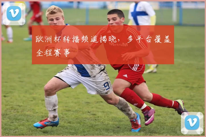 欧洲杯转播频道揭晓,多平台覆盖全程赛事