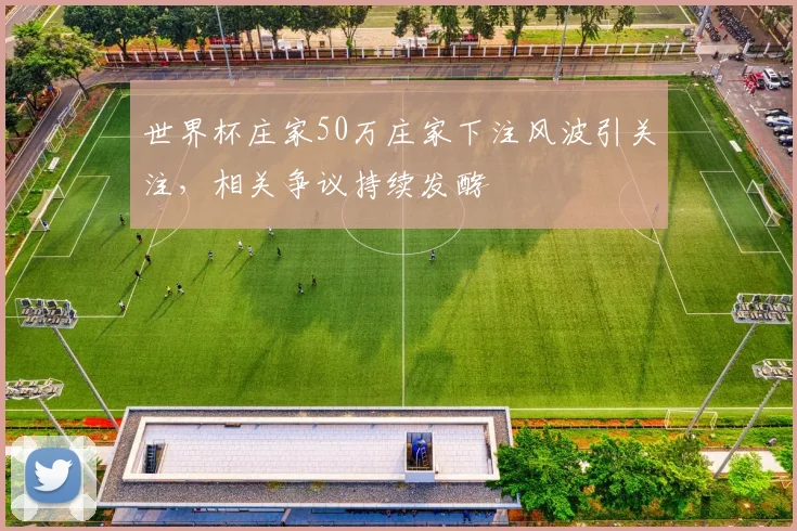 世界杯庄家50万庄家下注风波引关注，相关争议持续发酵